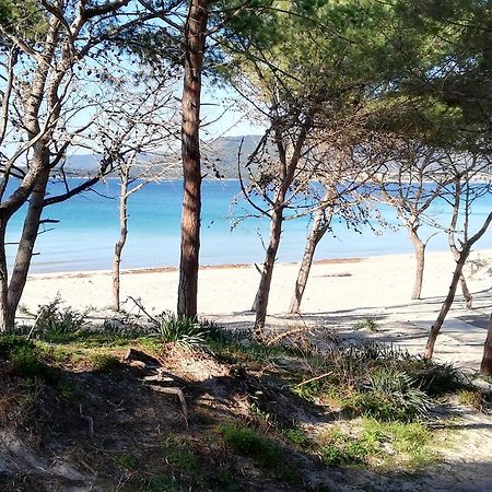 Nuovissimo Appartamento Con Terrazza Alghero Buitenkant foto